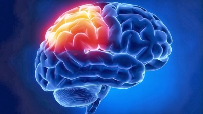 Vitassistance personale addetto alla cura e all’assistenza della persona e della famiglia