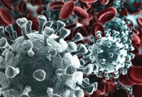 Tamponi Coronavirus fai da te, cosa dicono i virologi